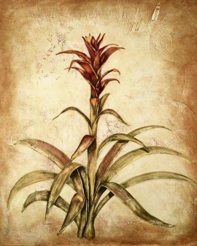 Island Bromeliads - Set of 3 misc-home-décor. Fine Art. Limited Edition Giclee misc-home-décor by Dalli. 11" x 13". Weatherproof for Indoor or Outdoor Use.