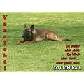 T�rschild FunSchild SE603 DIN A4 laminiert ACHTUNG Hund Malinois