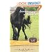 Summer Camp Adventure (Keystone Stables)