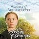 The Hope of Spring: The Discovery, Book 3 - A Lancaster County Saga