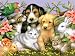 Loveable Pets 550 Piece Jigsaw Puzzle White Mountain