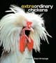 Extraordinary Chickens