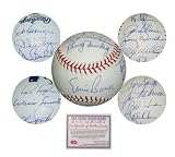 Chicago Cubs 1969 Team Signed MLB Baseball
