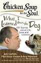 Chicken Soup for the Soul: What I Learned from the Dog: 101 Stories about Life, Love and Lessons
