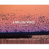 a million wings a spirited story of the sporting life along the mississippi flyway