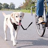 Fahrrad-Abstandhalter Biker-Set de Luxe, TRIXIE