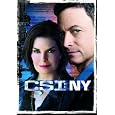 CSI: NY - The Eighth Season