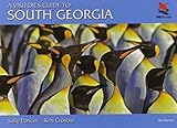 A visitor's guide to South Georgia