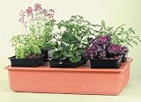 Emily's System - Hydroponic Model EMSYST