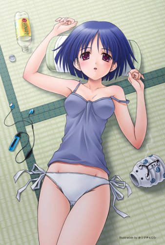 Cover image : 萌え萌えランジェリー図鑑