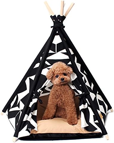 Designer Pet Teepee Tent with Matching Cushion Bed (Tip White, Small)