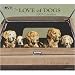 Love of Dogs 2009 Wall Calendar