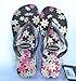 Havaianas Flip Flops Slippers * Summer -- Chocolate * 09 Collection !!