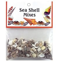 Sea Shell Mixes