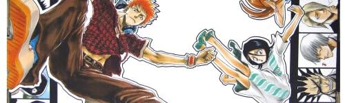 Bleach Box Set  (Vol.s 1-21): Volumes 1 - 21