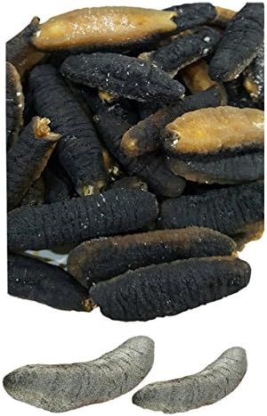UNY Dried Removed Sand and Internal Organs Holuthuriascabra Sea Cucumber Small Size - 8oz By UNY Warehouse