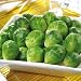 TTS Rosenkohl; 1200 g
