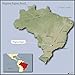 Brazil Green Unroasted Coffee Beans 5 Pounds