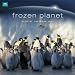 Official BBC Earth - Frozen Planet 2013 Calendar (Calendar 2013)