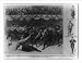 Historic Print (L): College girls play basket-ball - match game between students of Stanford University and