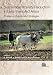 Sustainable Poverty Reduction in Less-Favoured Areas (Cabi Publishing)