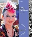 Sociology : pop culture to social structure