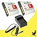 Two Halcyon 1400 mAH Lithium Ion Replacement Battery and Charger Kit for Sony Cyber-shot DSC-HX20V 18.2 MP Digital Camera and Sony NP-BG1