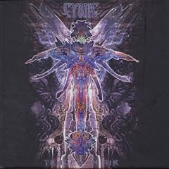 Traced in the Air [VINYL]