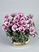 Close-Up of Godetia Flowers Growing in a Pot (Clarkia Amoena) Photographic Poster Print by G. Cigolini, 18x24