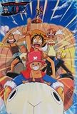 One Piece Poster 4587
