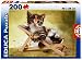 Educa 200-Piece Puzzle Exhausted