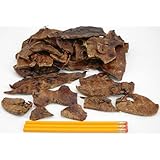 Sliced Lamb Lungs 5Lb Made in USA