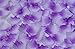 jennyyang059 Decoration Silk Flowers Rose Petals 100PCS Purple-White