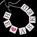 Pixnor Bunting Banner Wedding Bridal Party Decoration Photo Prop (HE ASKED SHE SAID YES)