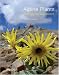 Alpine Plants: Ecology for Gardeners