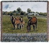 Bourbon County Splendor Horse Tapestry Throw Blanket 50