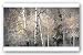 When the Change Comes by William Vanscoy 20"x38" Art Print Poster