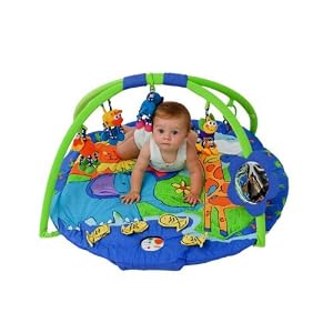 InteractiveDiscoveryGymandPlayMat