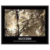 Advantus Framed Motivational Print, Success, Sepia-Tone, 30 x 24 Inches, Black Frame (AVT78161)