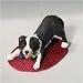 Border Collie-Sandicast Pick of the Litter Christmas Ornaments