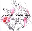 Last Romance by Arab Strap (2005-10-17)【並行輸入品】