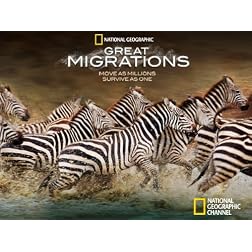 Great Migrations Season 1