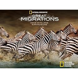 Great Migrations Season 1