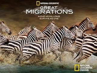 play video on Amazon Instant Video