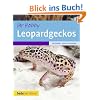 Ihr Hobby Leopardgeckos