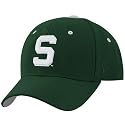 Zephyr Michigan State Spartans Green Fitted Hat W/S