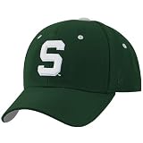 Zephyr Michigan State Spartans Green Fitted Hat W/S