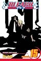 Bleach, Vol. 15: Beginning of the Death of Tomorrow