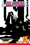 Bleach, Vol. 15: Beginning of the Death of Tomorrow