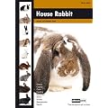 House Rabbit: Expert Series (Small Animals Expert Series)